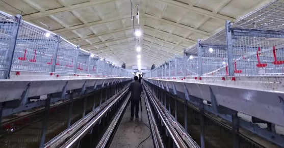 養(yǎng)鴨場(chǎng)老板：熱泵供暖溫度高，費(fèi)用比燒煤還??！